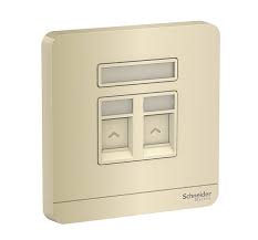 Bộ ổ cắm mạng cat5e đôi Schneider E8332RJS5_WG_G19, màu vàng ánh kim