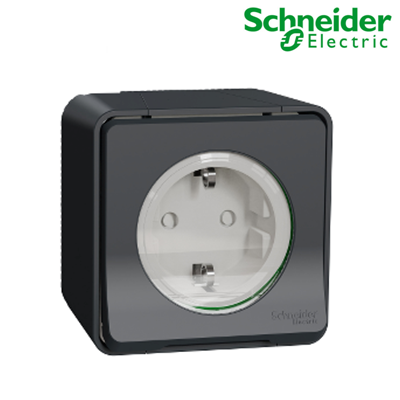 Ổ cắm đơn 16A 2P+E Schneider MUR36034