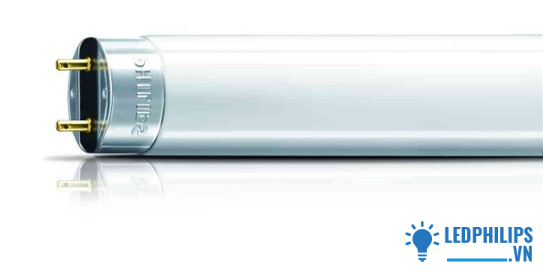 Bóng huỳnh quang Philips T5 0m6 -TL5 14w/830/840/865, ánh sáng trắng, 40 bóng/thùng