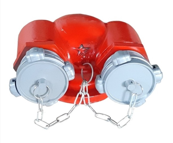 Họng tiếp nước chữa cháy 2 cửa DN65