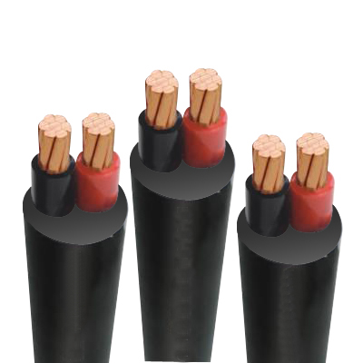 Cáp điện lực hạ thế ruột đồng 2 lõi cvv 2x8 màu đen Cadivi, cách điện pvc, vỏ pvc, giá tính theo mét