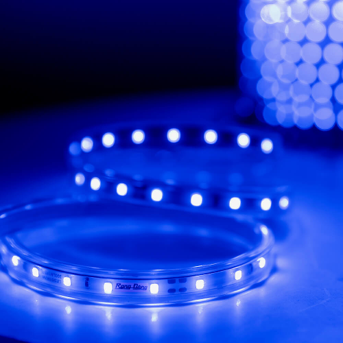 Đèn LED dây Rạng Đông LD01.B 1000/7W BLUE (AC 220V-100m)