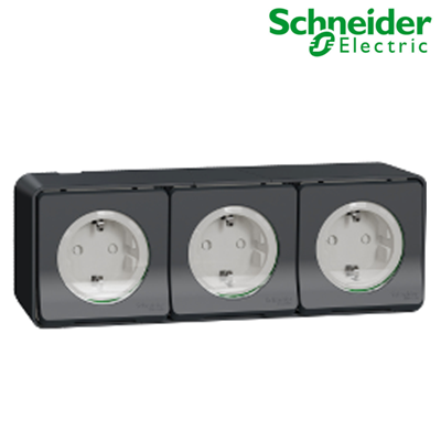 Ổ cắm ba 16A 2P+E Schneider MUR36038