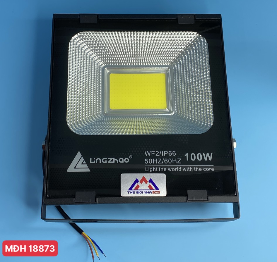 Đèn pha led 100W Lingzhao DPL-005-1, ánh sáng trắng, Kích thước hộp màu 270*75*306