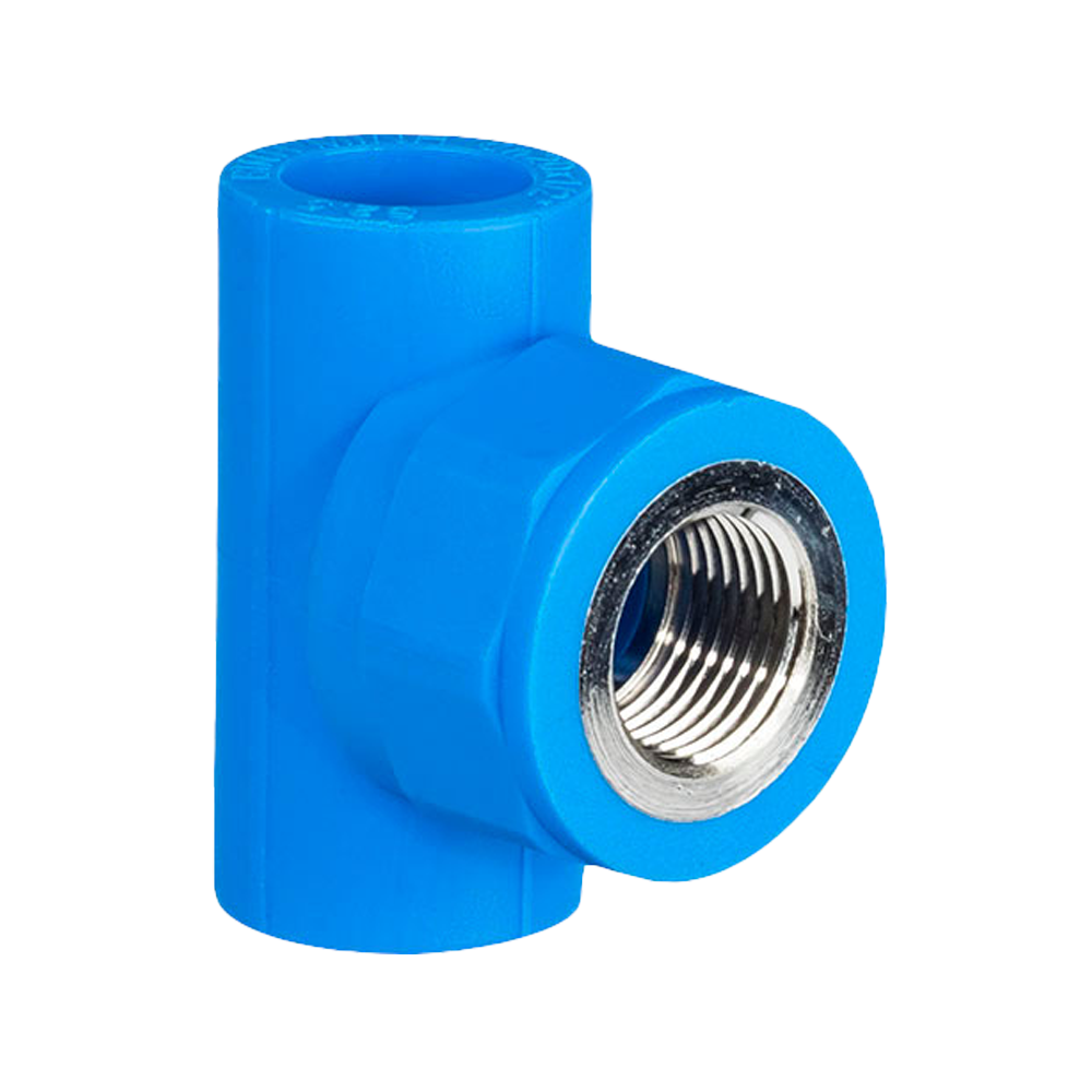 T răng trong PPR Sino 20x1/2