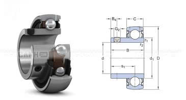 Vòng bi SKF YAT 205